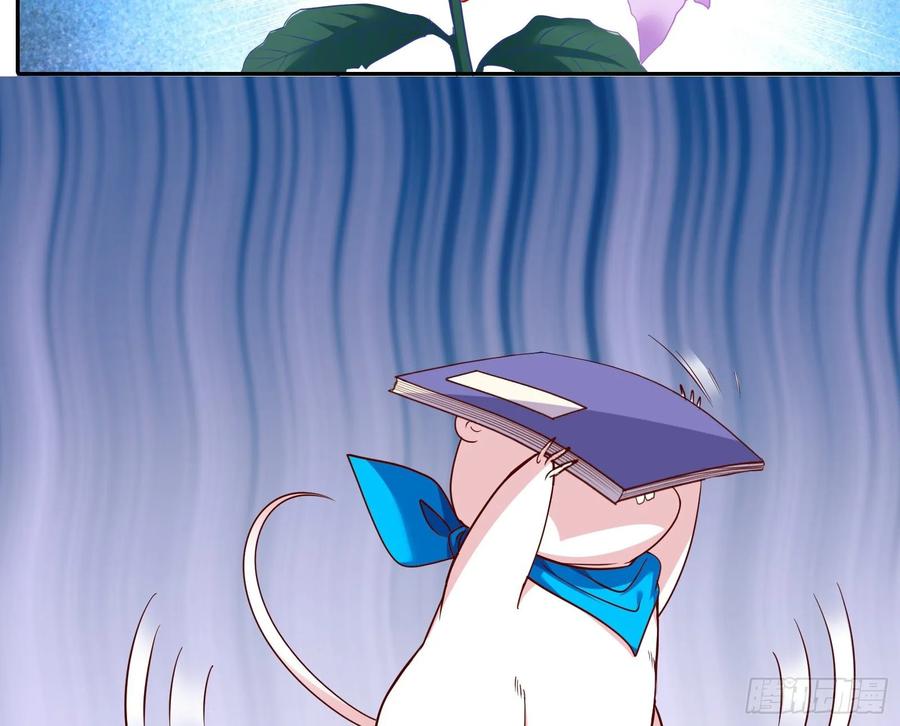 81.jpg