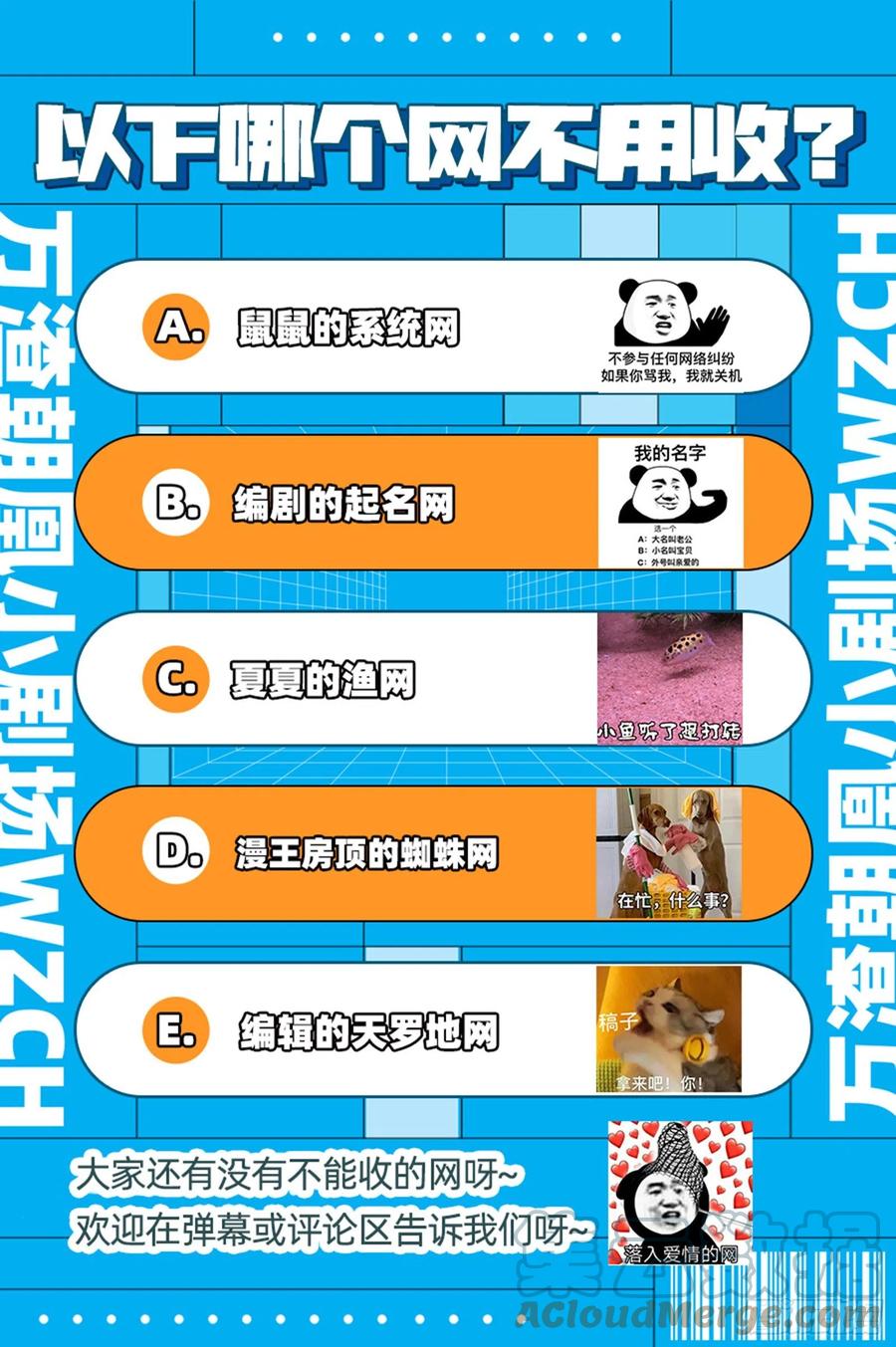 91.jpg
