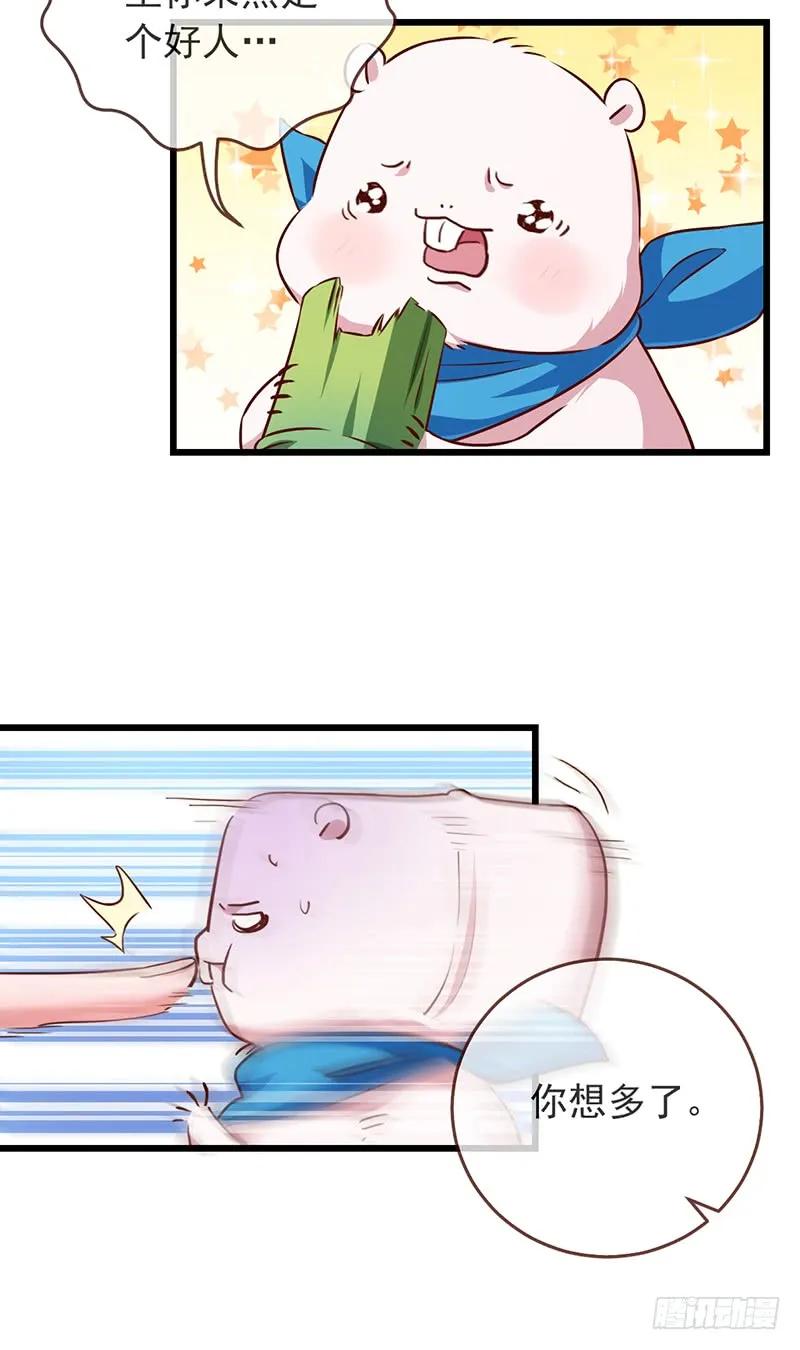 19.jpg