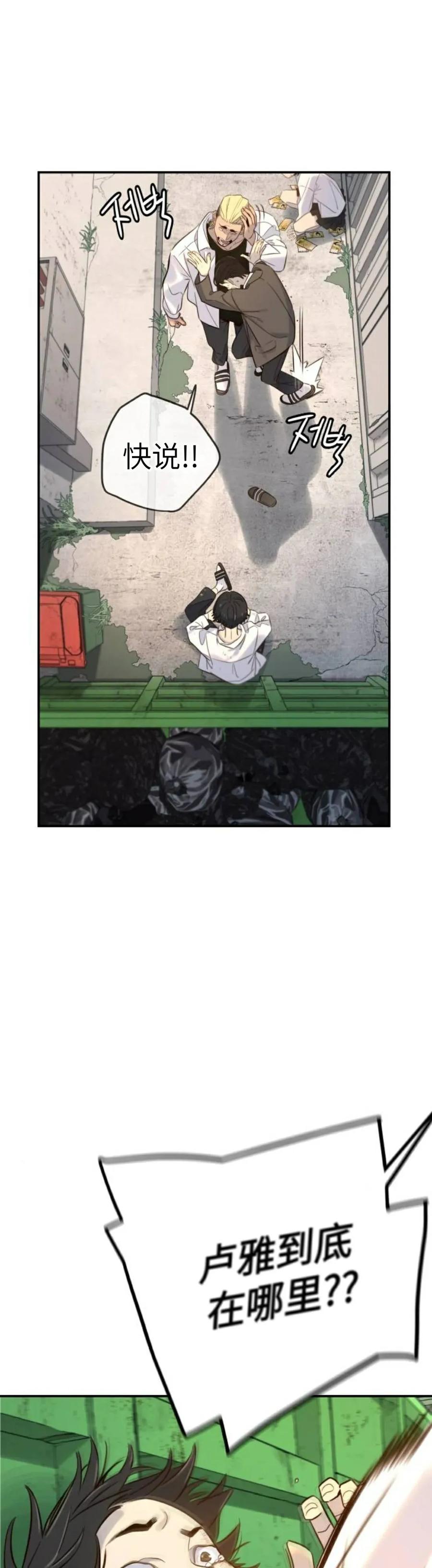 21.jpg