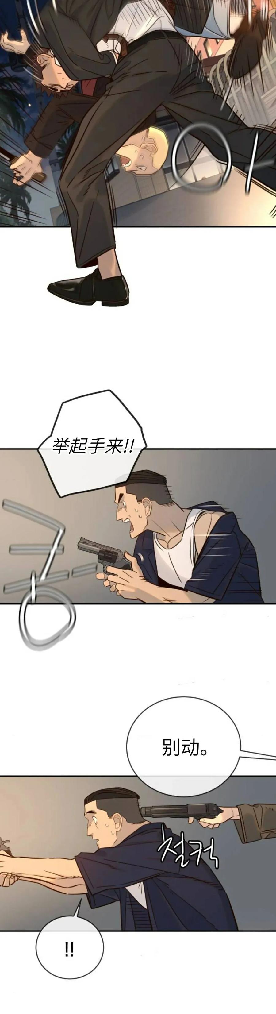 45.jpg