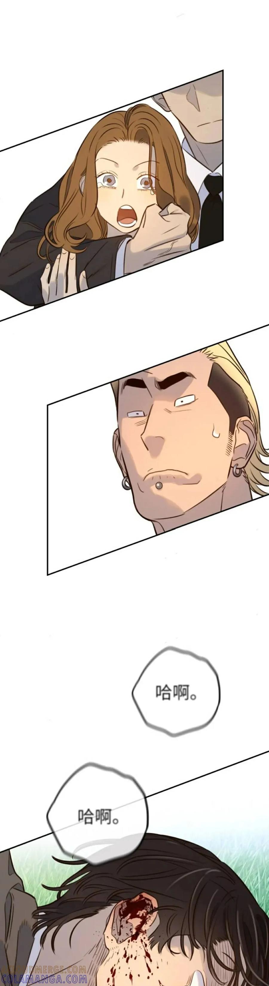 52.jpg