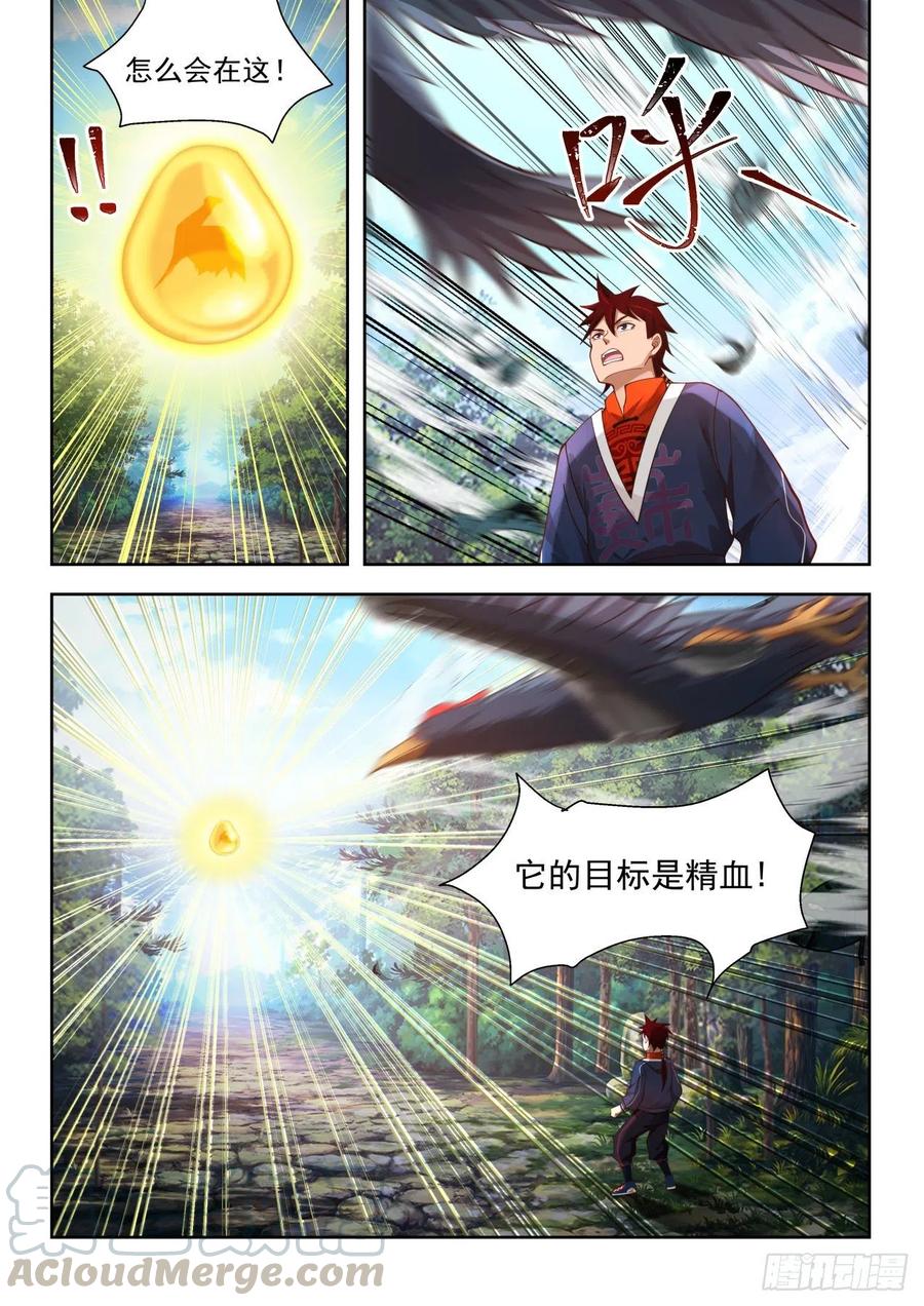 9.jpg