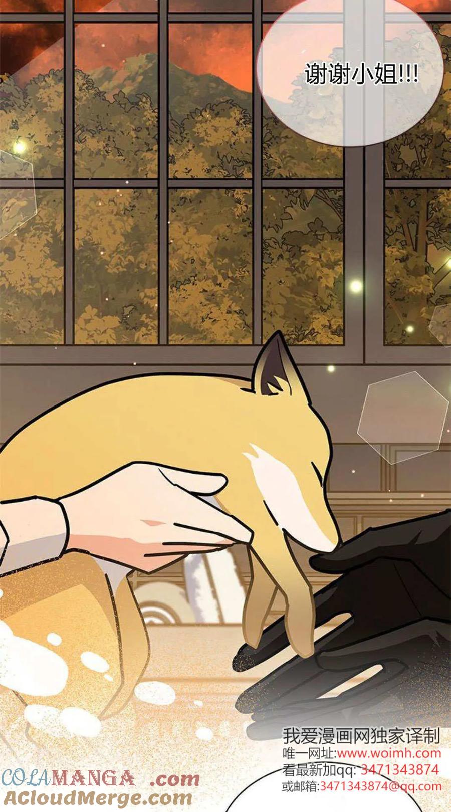 第59话-明明是猫，却被狼族收养了？-노찬주（第19张）