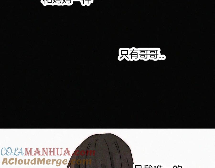 73.jpg