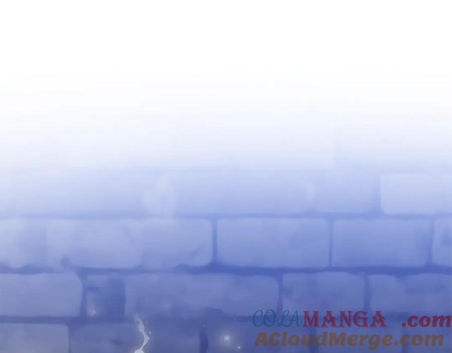 85.jpg
