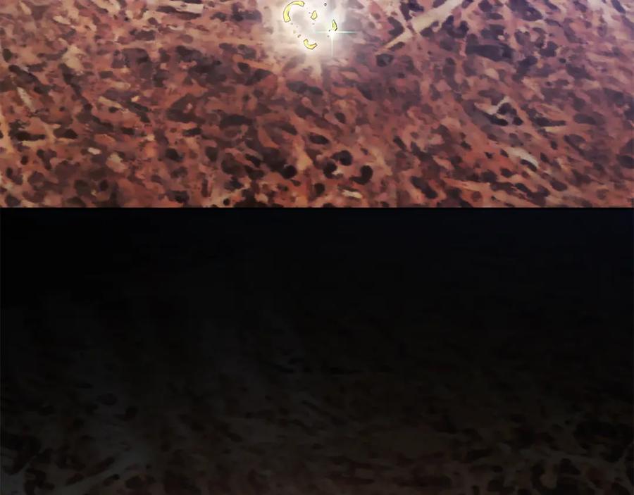 58.jpg
