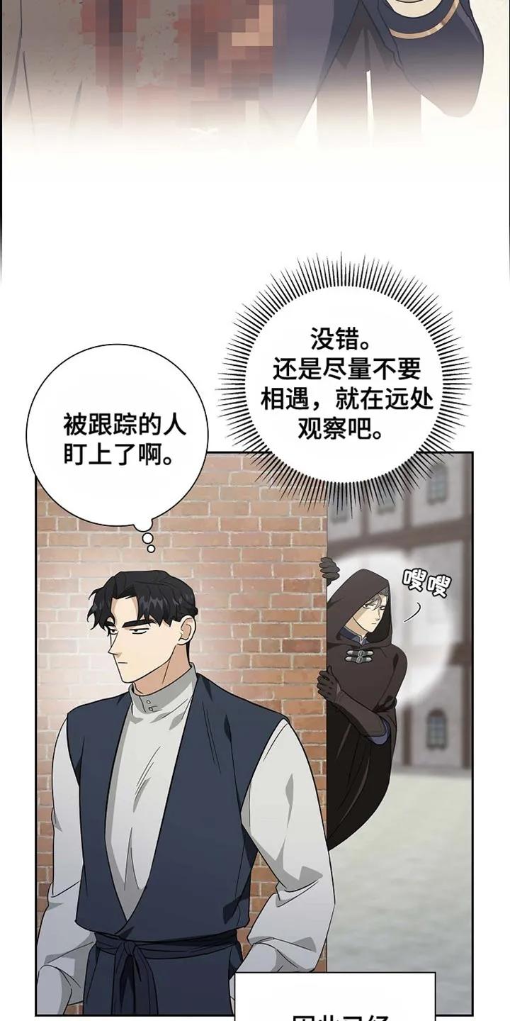 第112章：【第二季】恢复贸易-姻缘天注定-ROAMM（第17张）