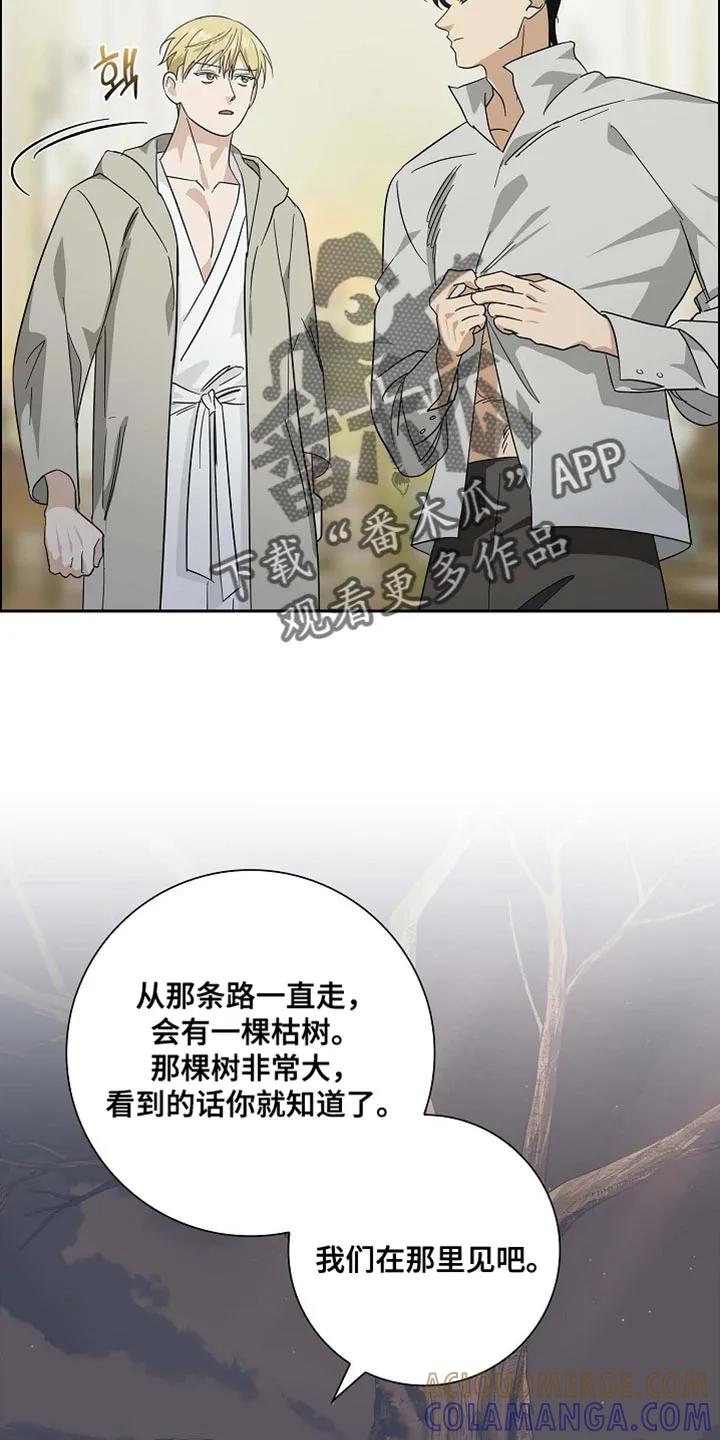 第127章：【第二季】曾死过的地方-姻缘天注定-ROAMM（第6张）
