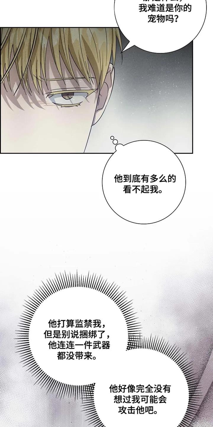 第130章：【第二季】魔力的气息（完结）-姻缘天注定-ROAMM（第5张）