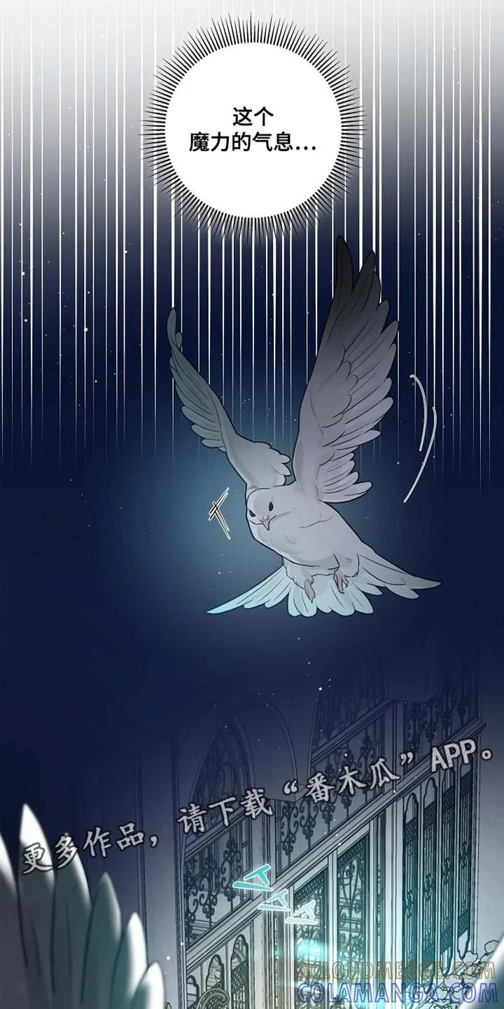 第130章：【第二季】魔力的气息（完结）-姻缘天注定-ROAMM（第18张）