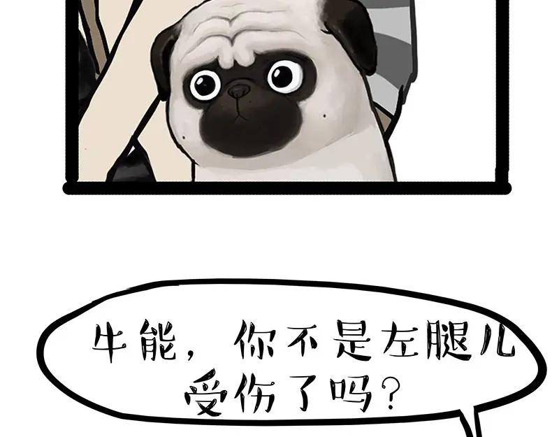 47.jpg