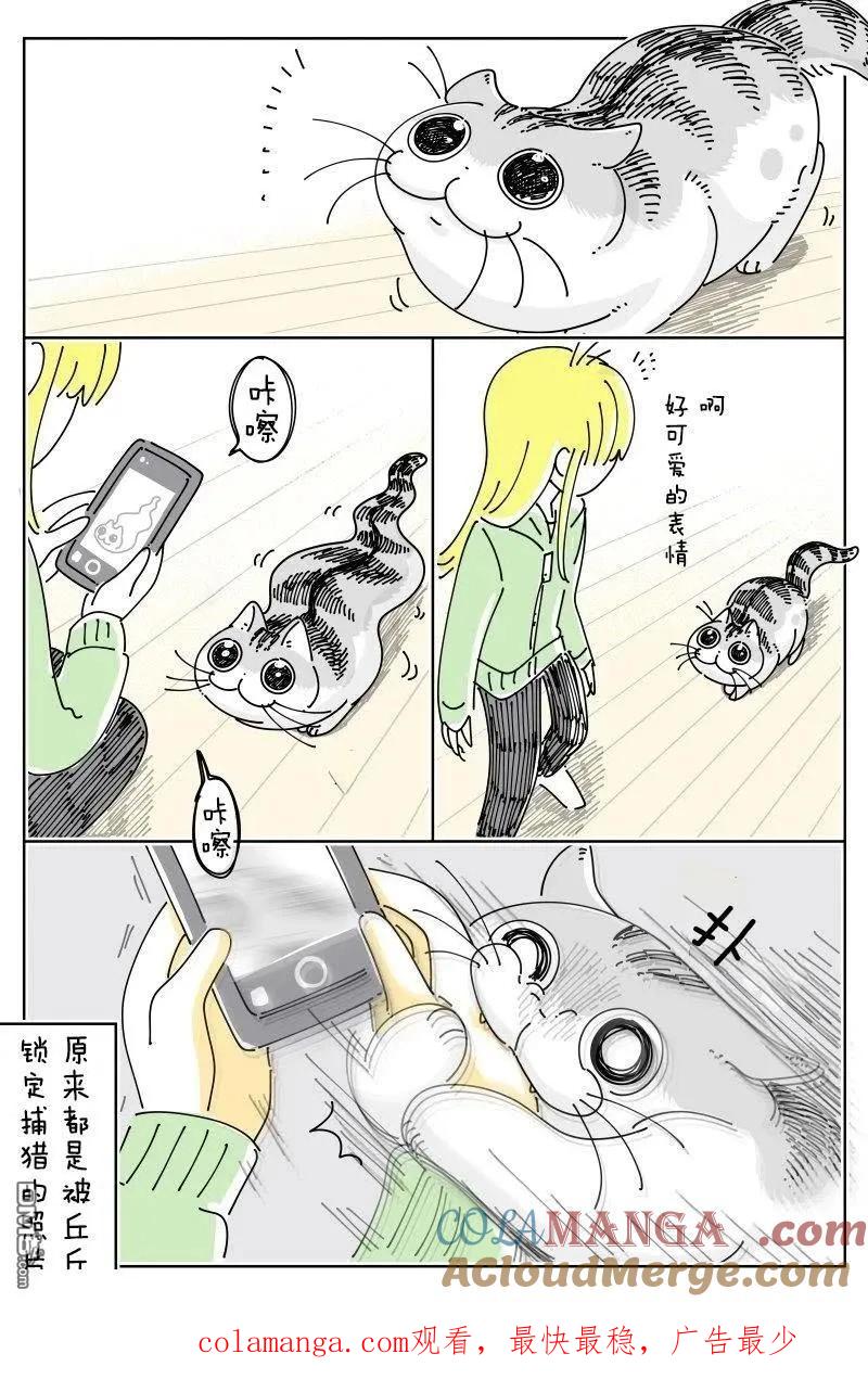 第239话-关于养猫我一直是新手-キュルZ（第3张）