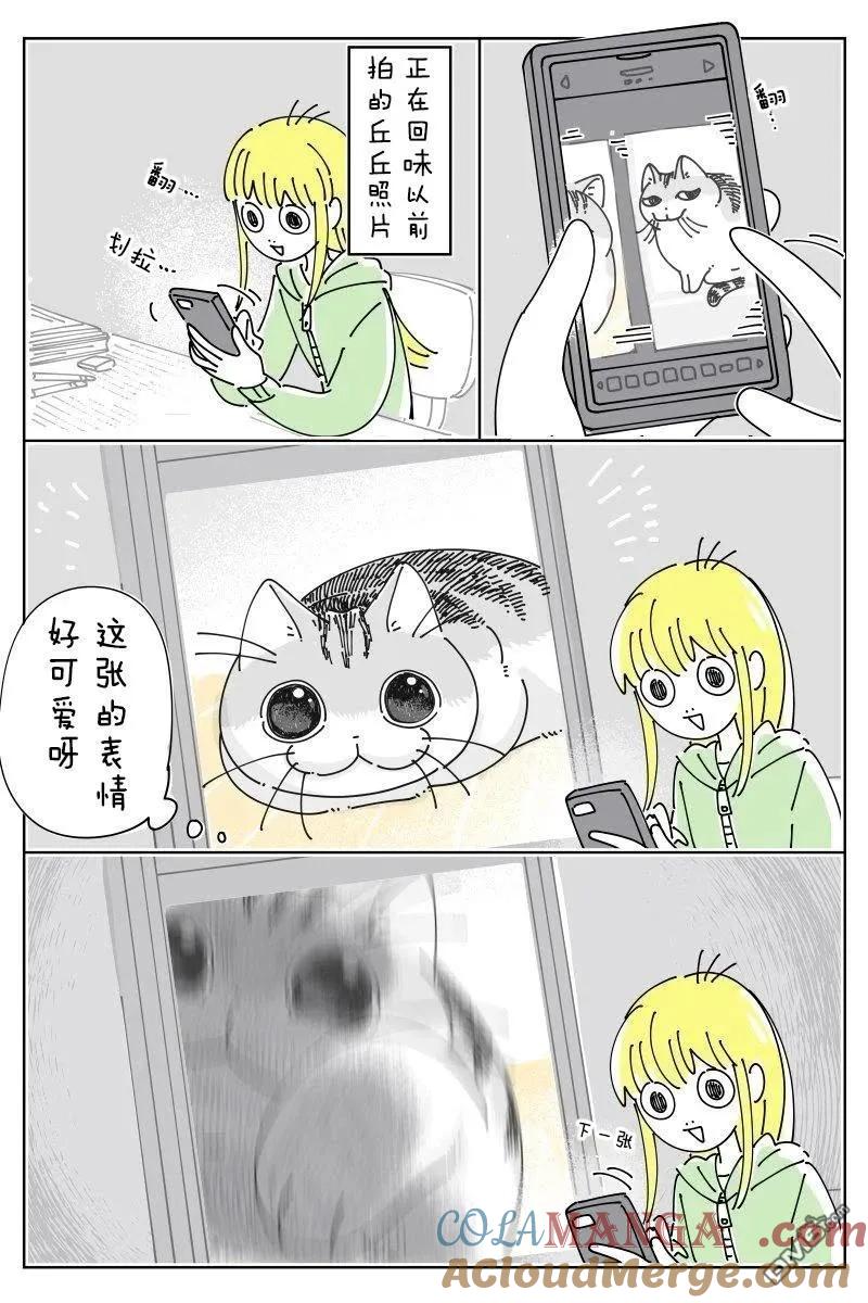 第239话-关于养猫我一直是新手-キュルZ（第1张）