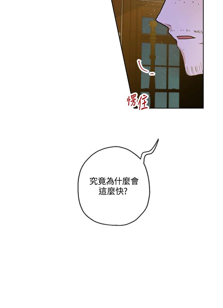 60.jpg