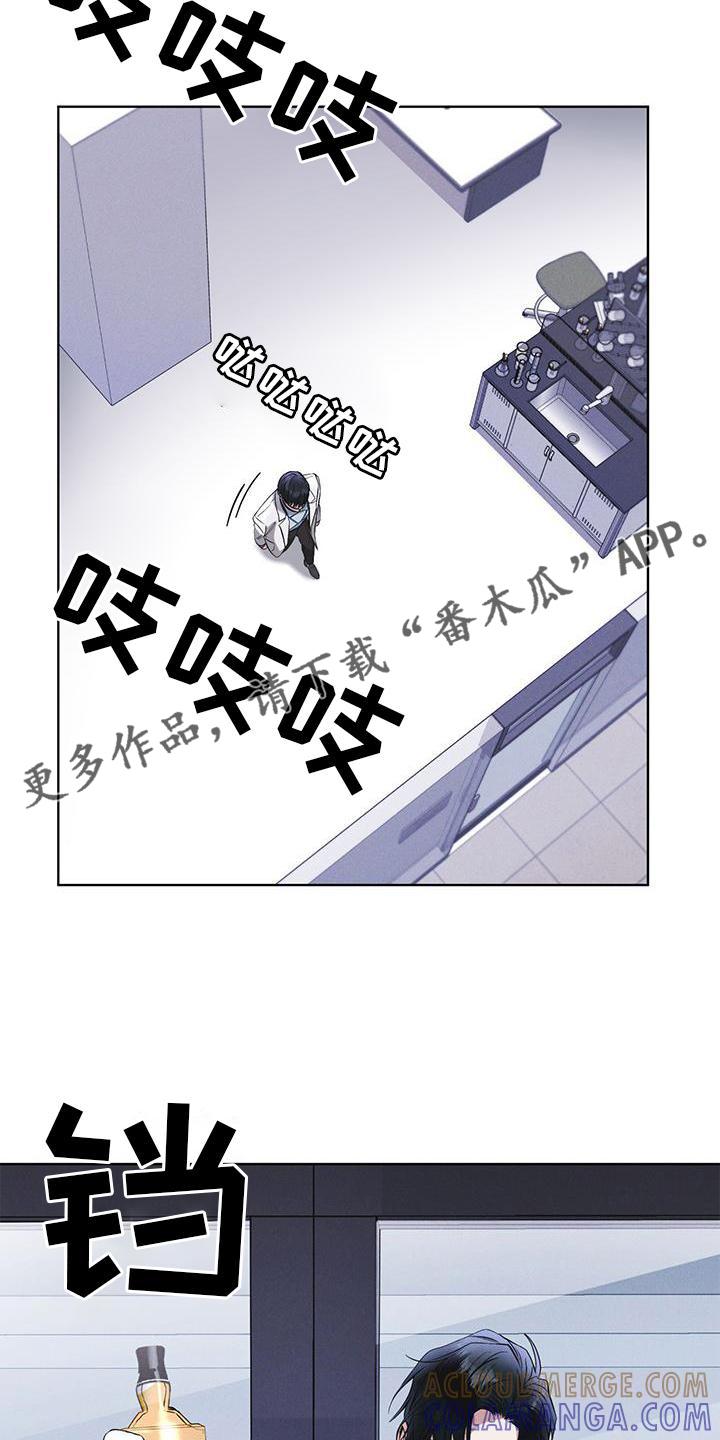 第27章：上膛-彩虹城-Pnaiuenm（第11张）