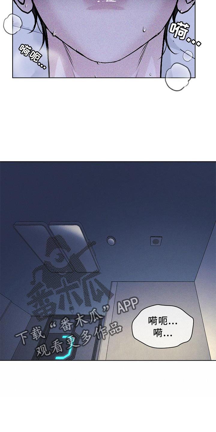 第29章：做梦-彩虹城-Pnaiuenm（第20张）