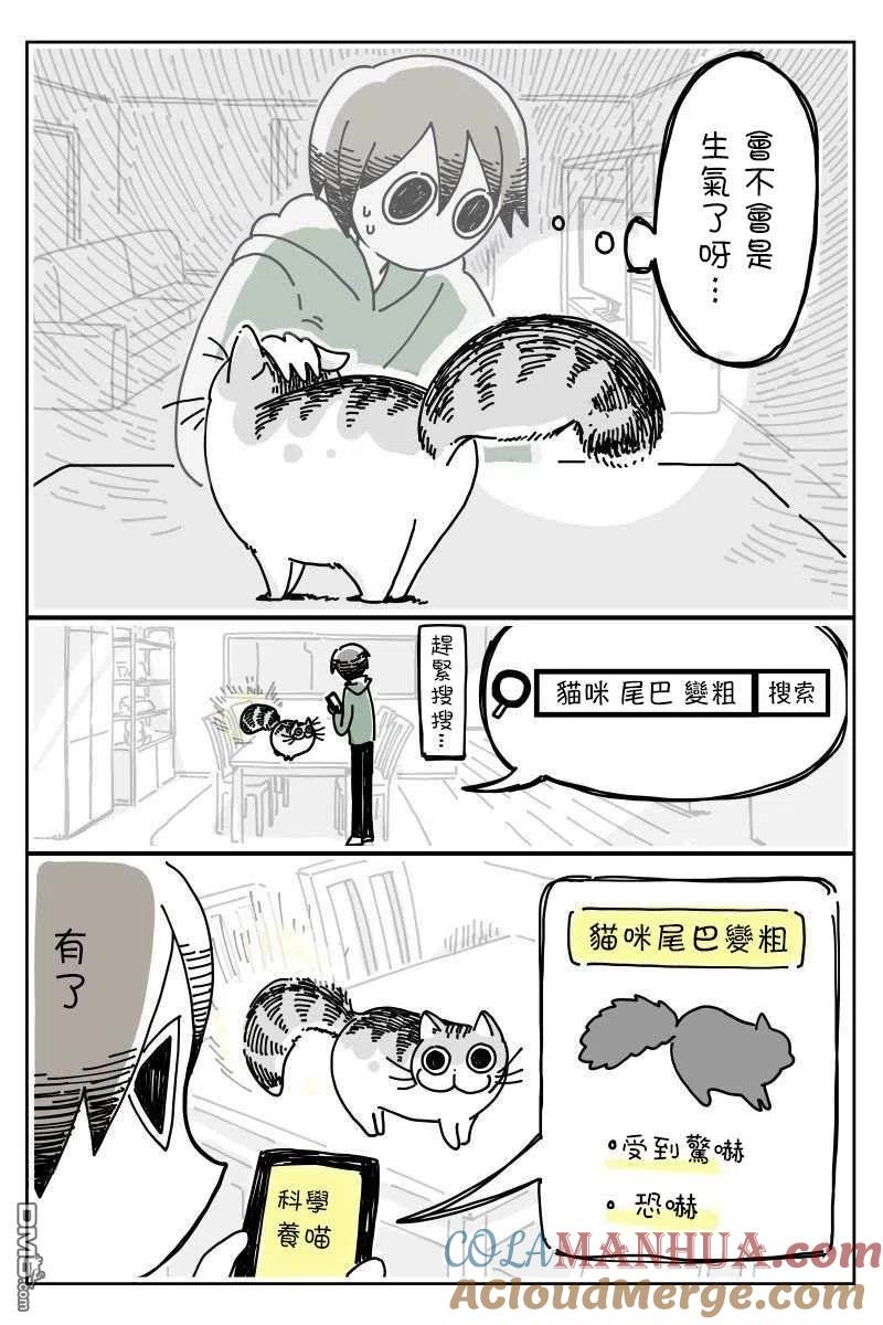 第6话-关于养猫我一直是新手-キュルZ（第1张）