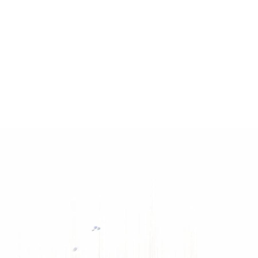 78.jpg