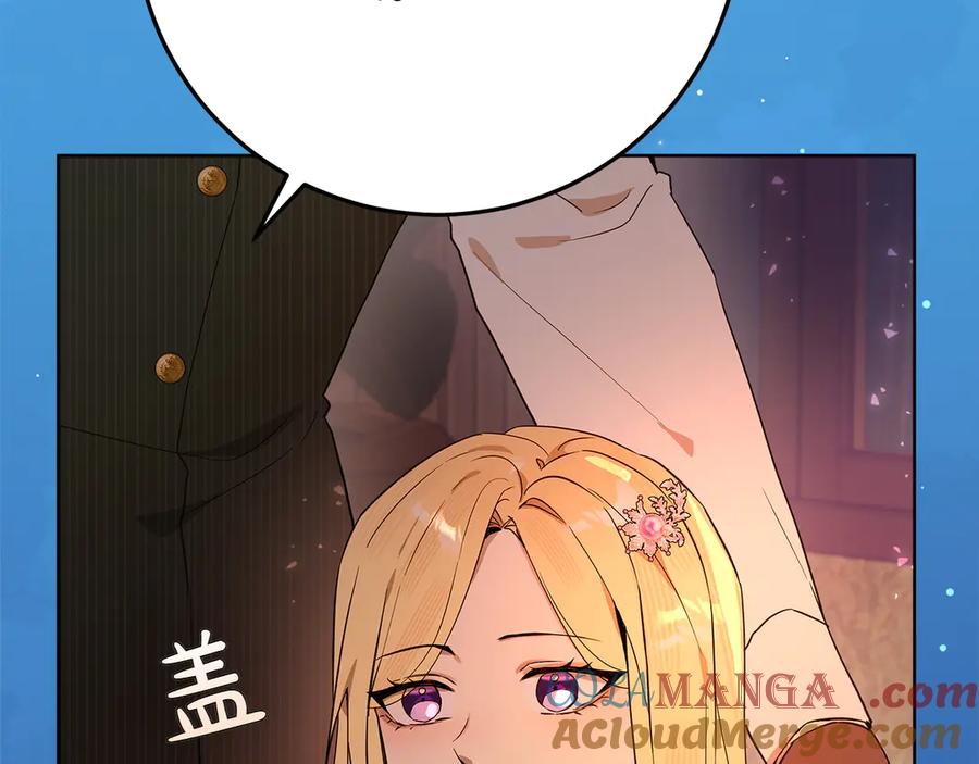 213.jpg