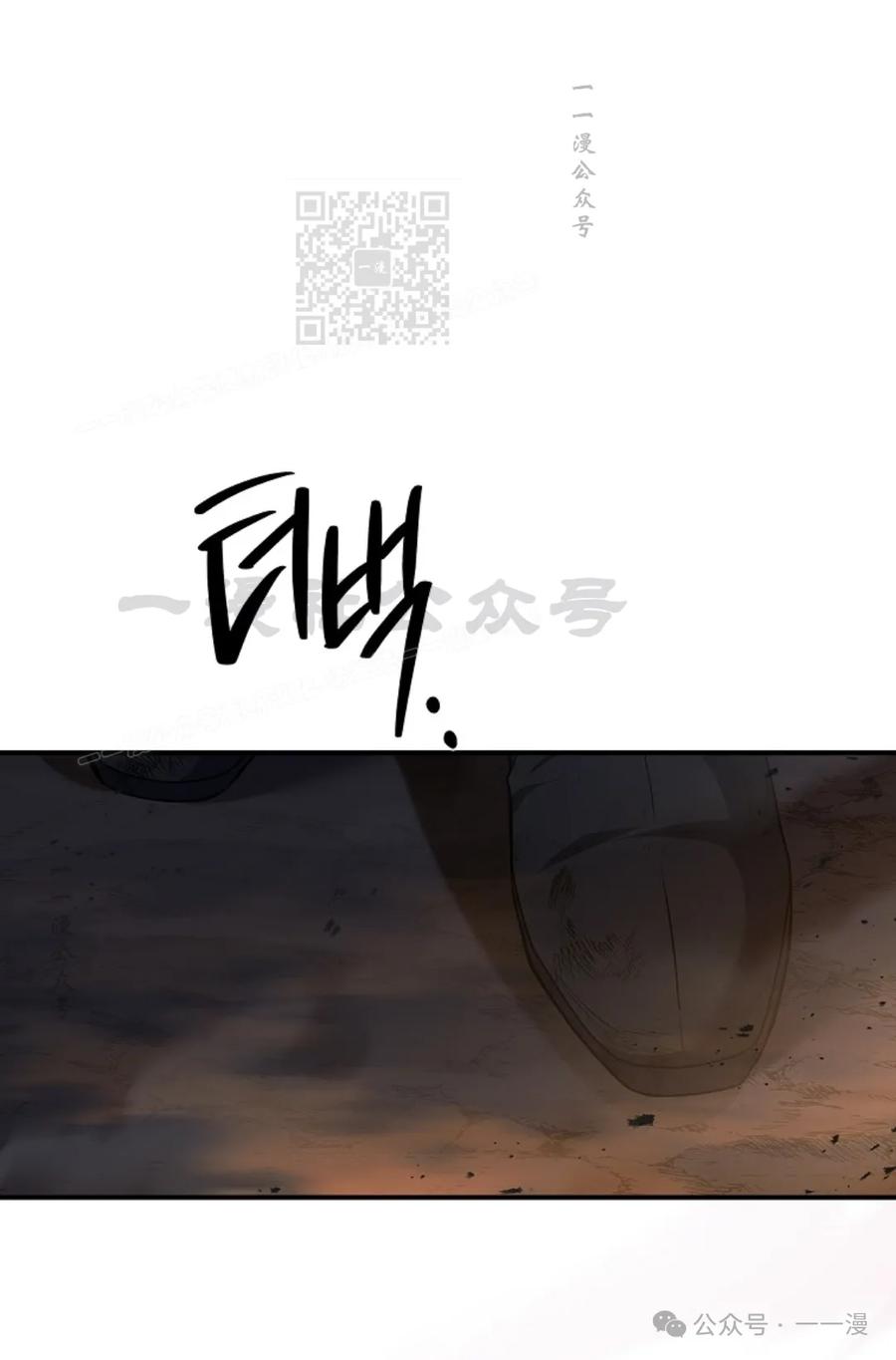 111.jpg