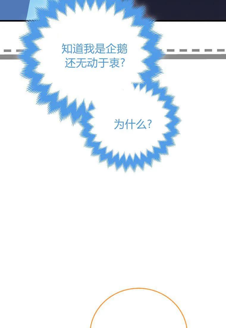 第26话-疯狂虎鲸爱惜的企鹅-하와이（第4张）