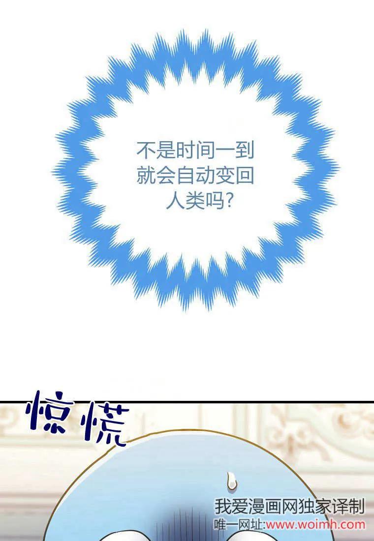 第26话-疯狂虎鲸爱惜的企鹅-하와이（第22张）
