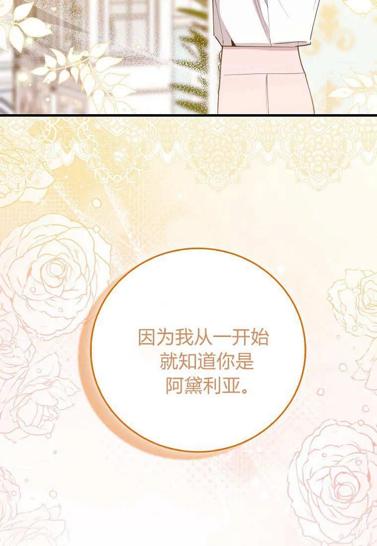 第26话-疯狂虎鲸爱惜的企鹅-하와이（第2张）