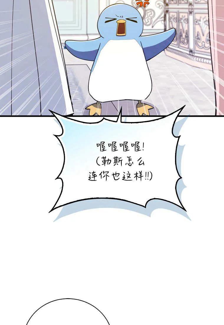 第26话-疯狂虎鲸爱惜的企鹅-하와이（第18张）