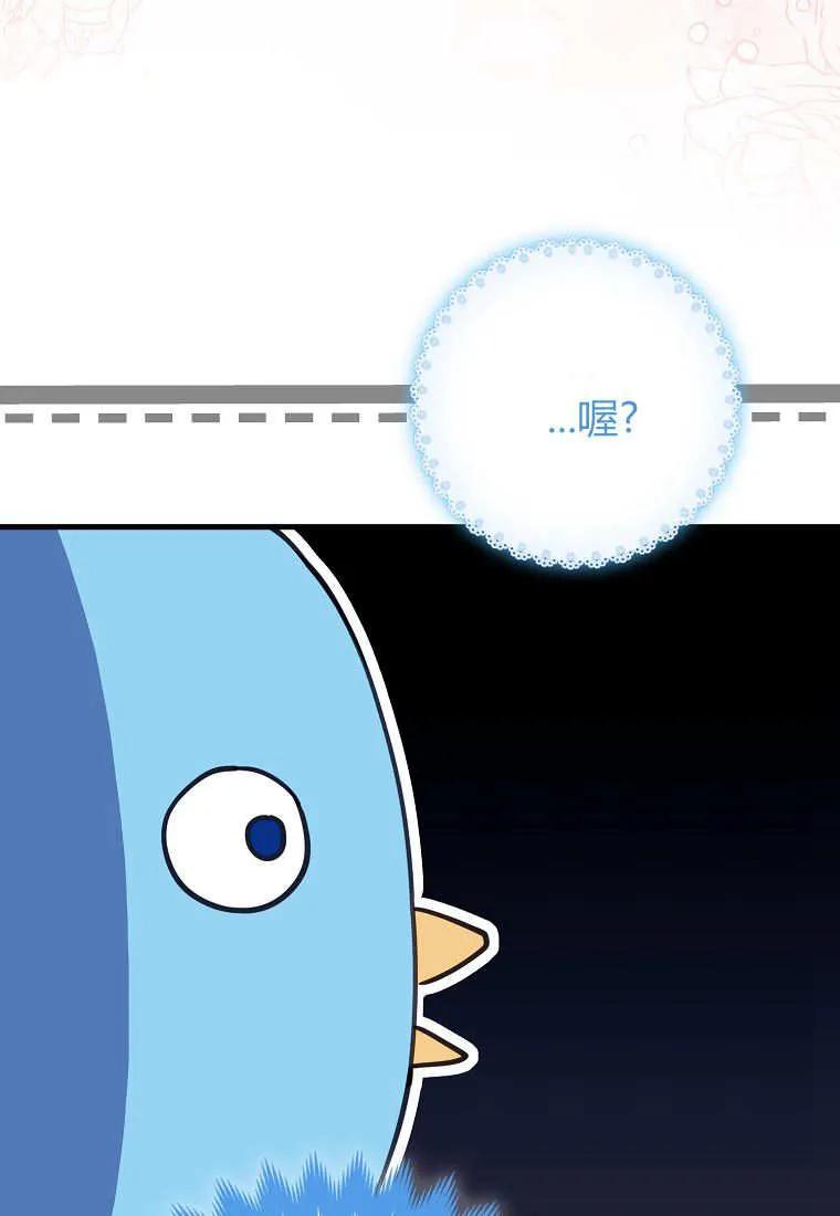 第26话-疯狂虎鲸爱惜的企鹅-하와이（第3张）