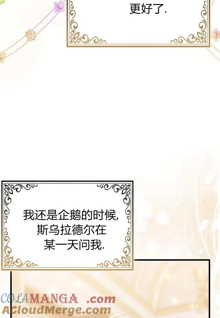 85.jpg
