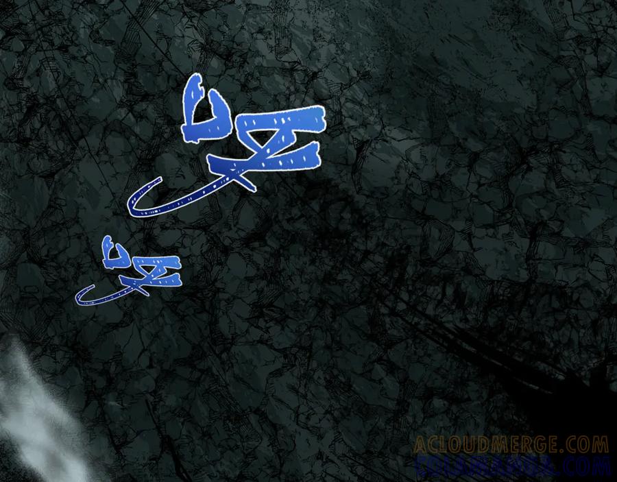 141.jpg