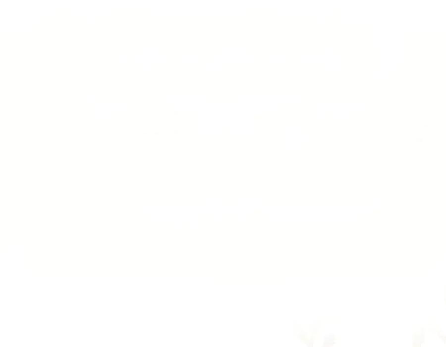 94.jpg