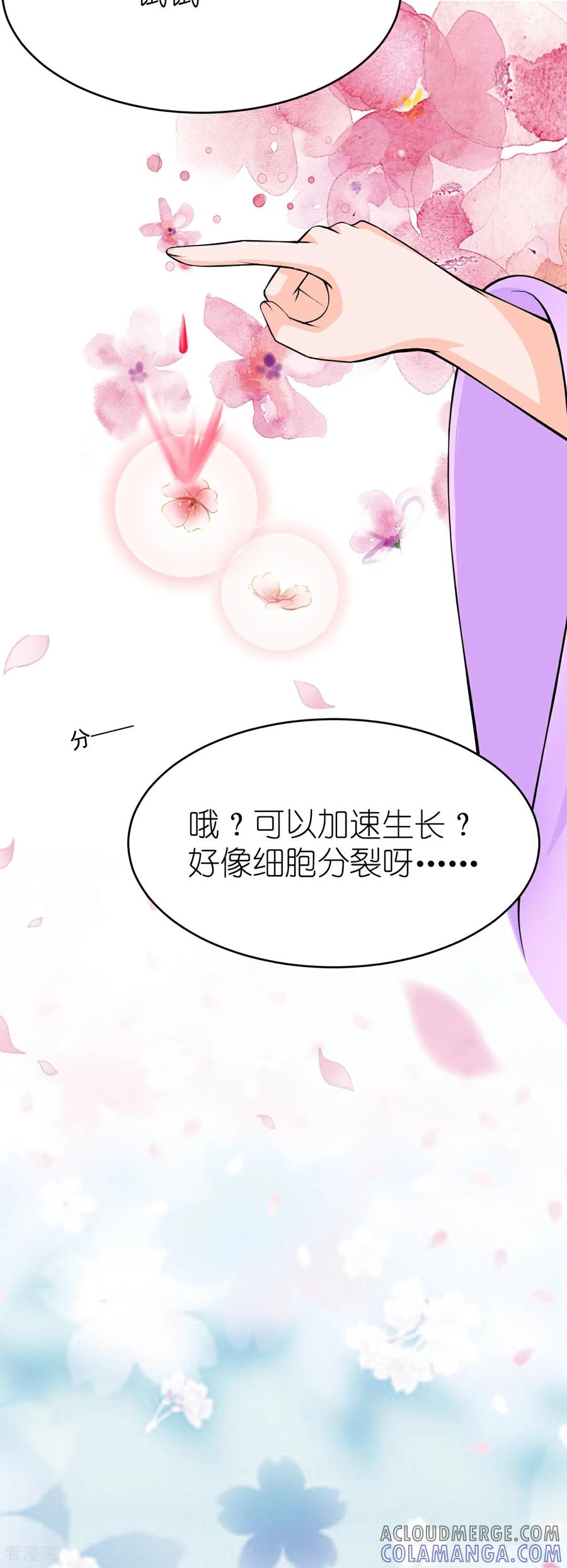 第12话杏花花神-花神人间录-沐星汐（第13张）