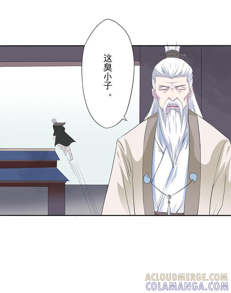 齐青初见-天乩之白蛇传说-追梦动漫（第11张）