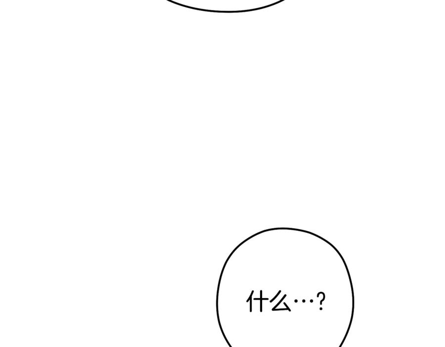 151.jpg