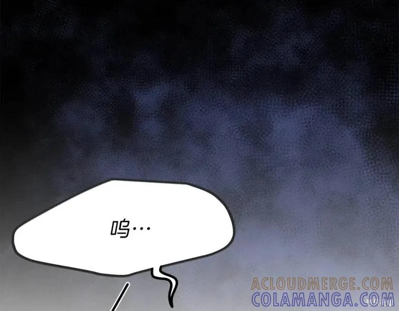 137.jpg