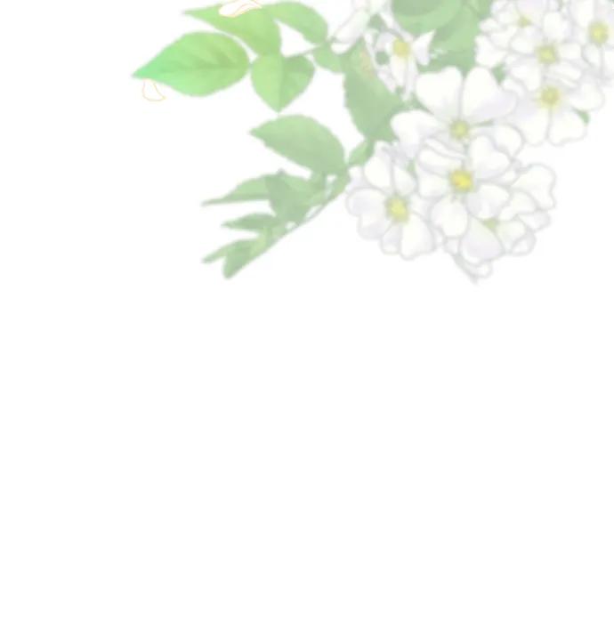 [第71话]恭喜的话-问题王子-Solche,CACTUS（第5张）