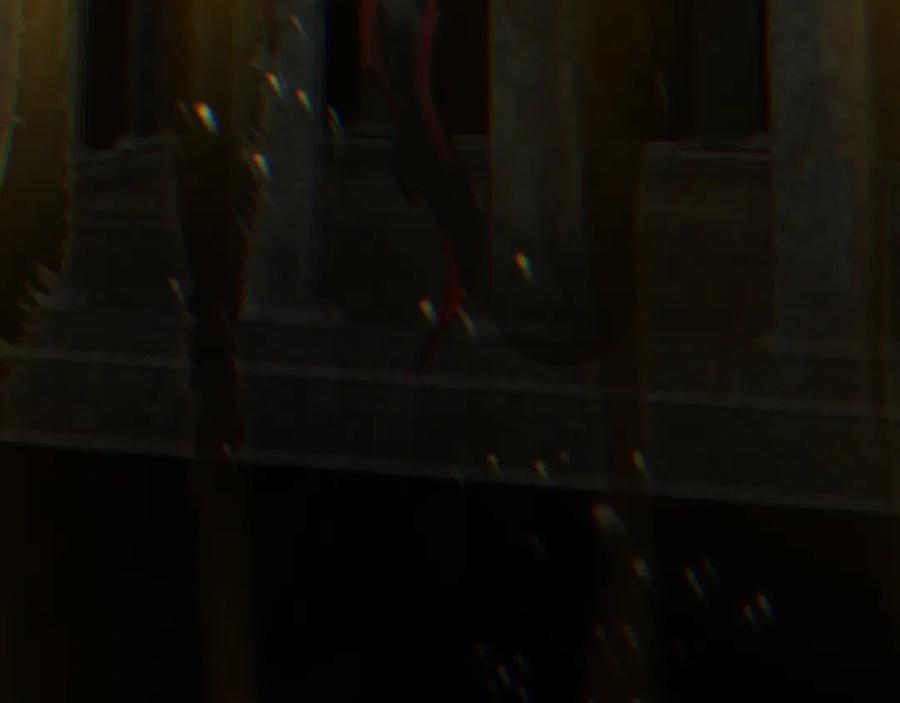 146.jpg
