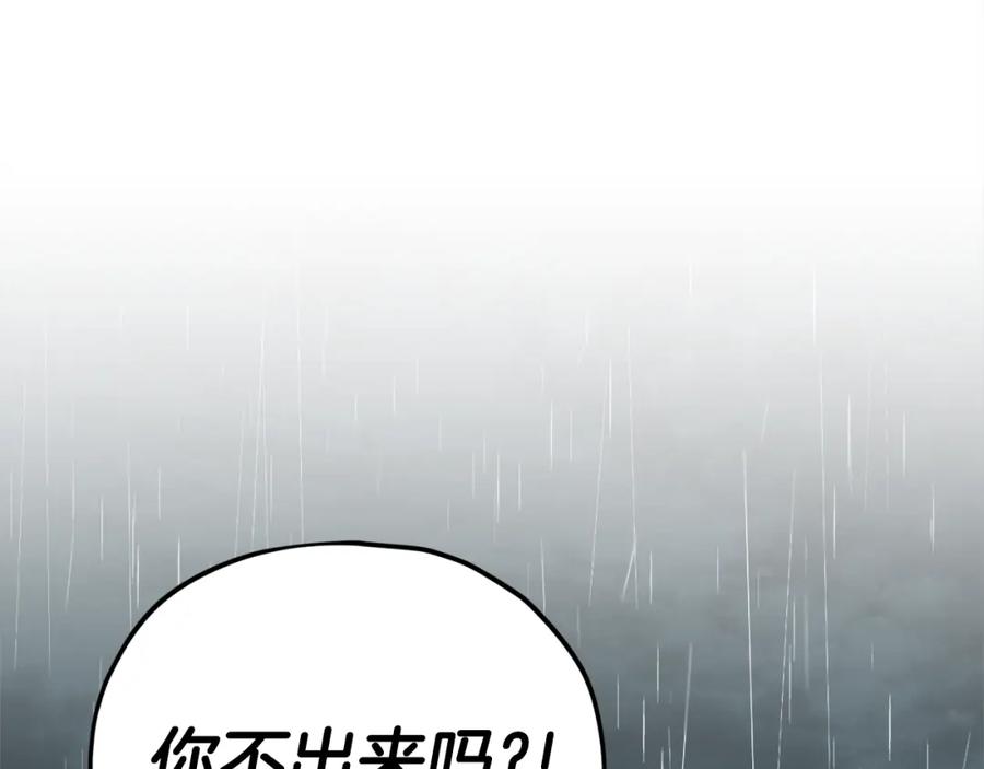 213.jpg