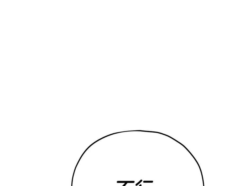 243.jpg