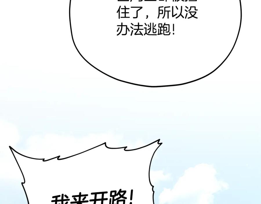 123.jpg