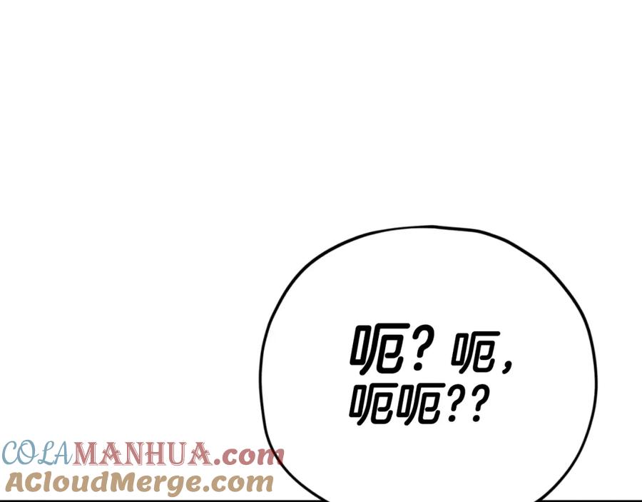 113.jpg