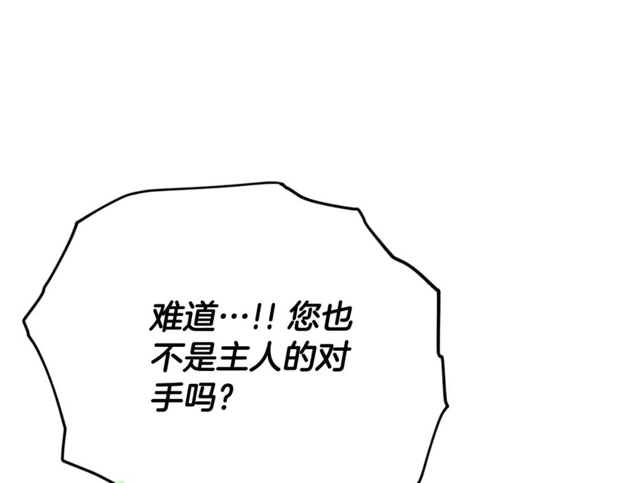 178.jpg