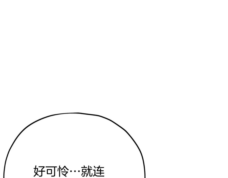176.jpg