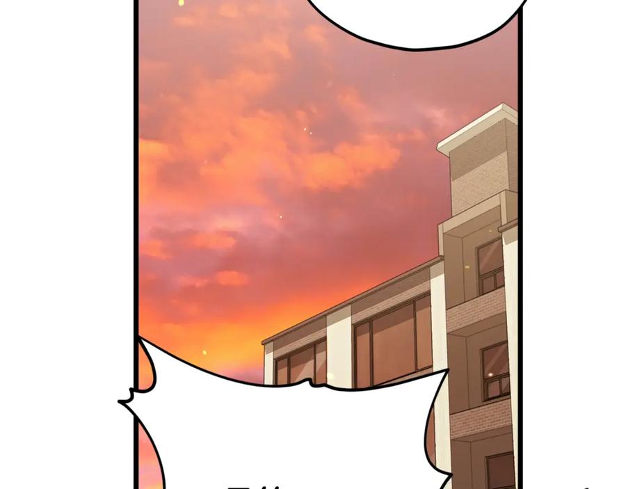 224.jpg