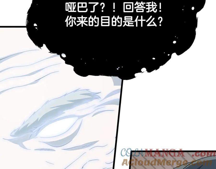 213.jpg