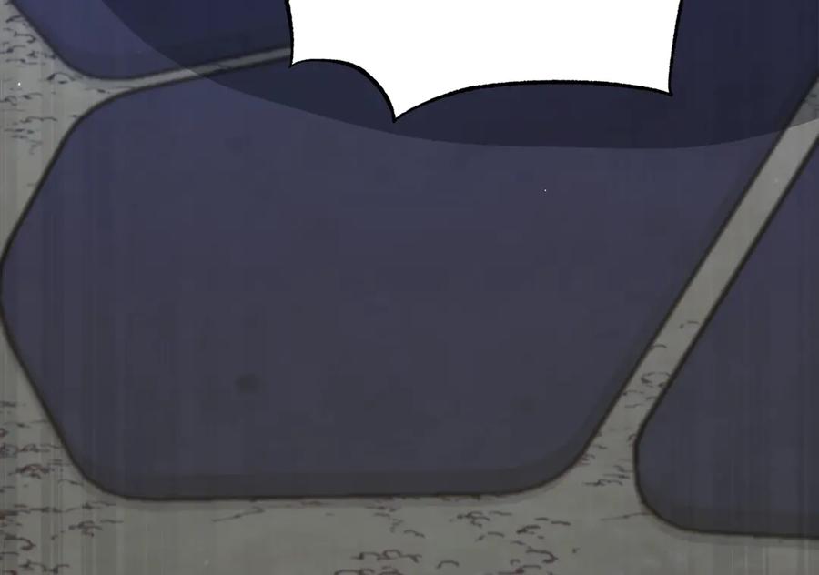 238.jpg
