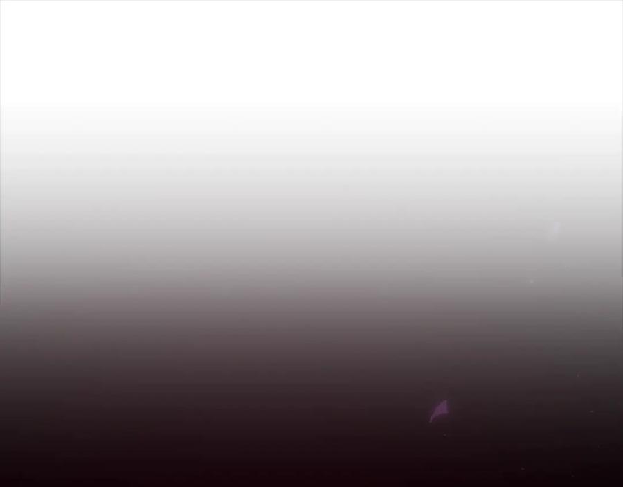 100.jpg