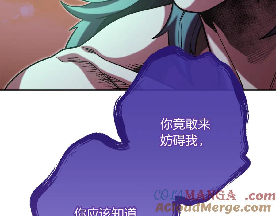 233.jpg